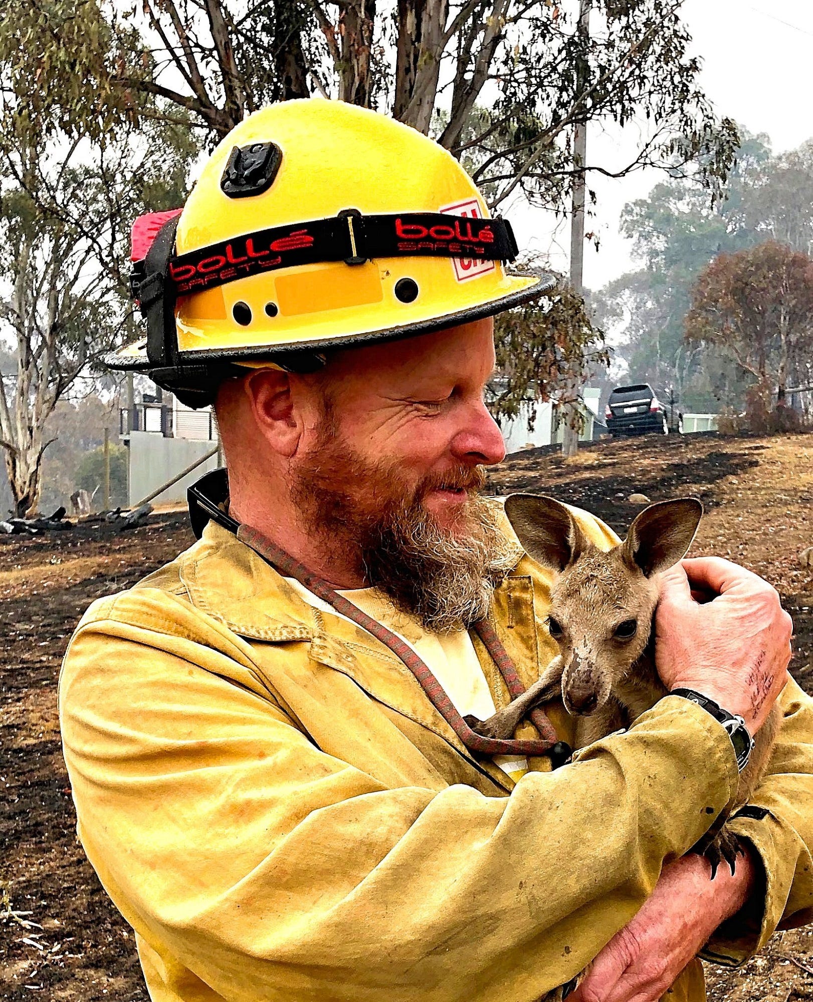 Tahoe Firefighter Talks Baby Kangaroo Rescued From Australian Fires