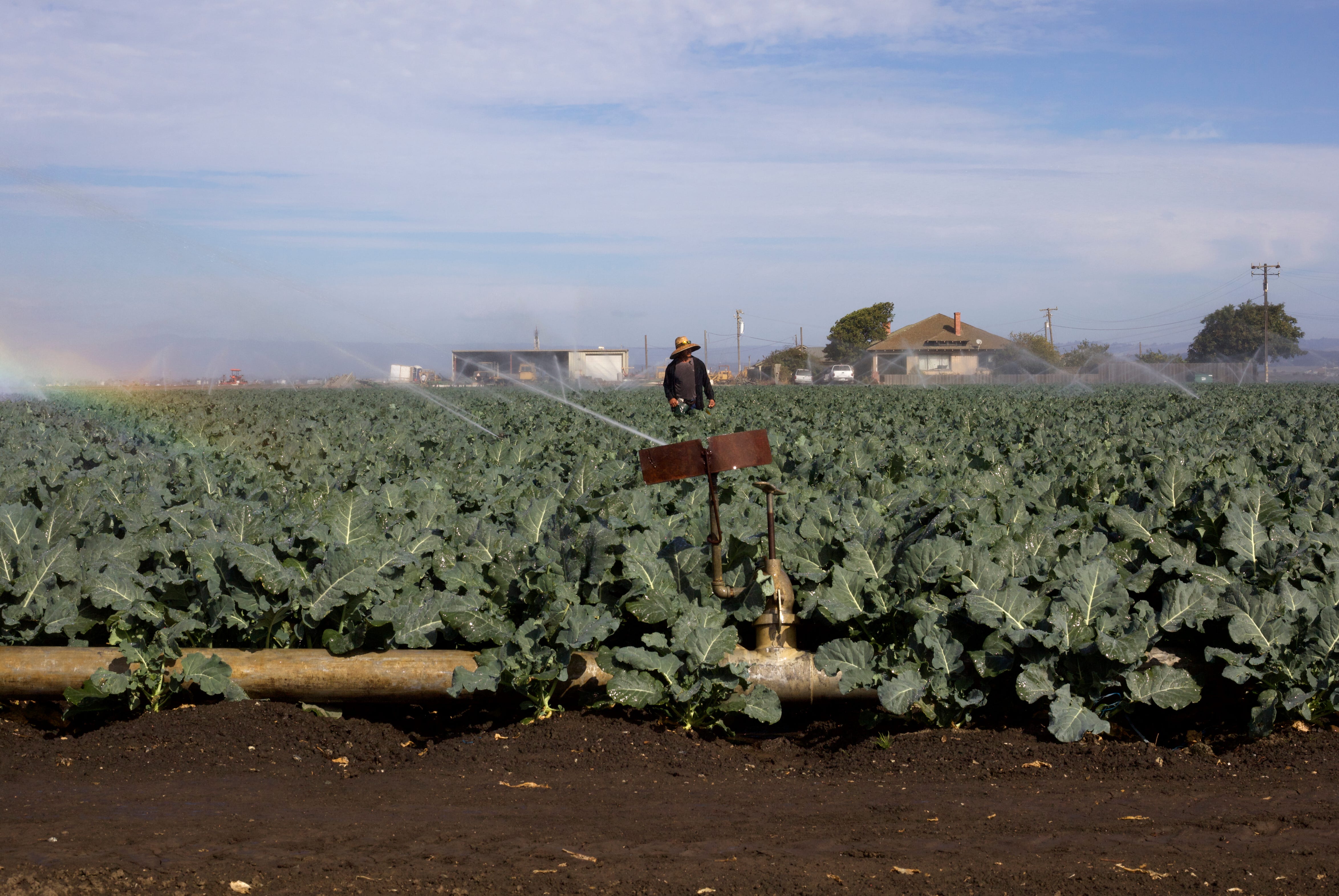 More than 90,000 farmworkers living in the Salinas and Pajaro Valley region earn an average of $17,500 a year. Yet, Salinas is one of the most expensive places to live in the U.S.