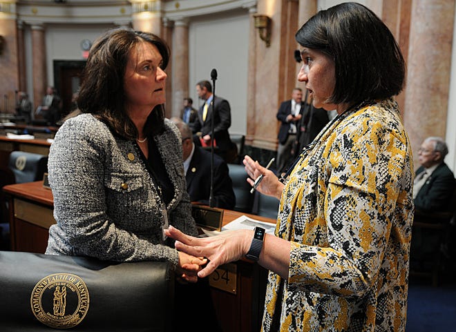 Rep.  Kim Banta, R-Ft.  Mitchell (left), speaking with Representative Tina Bojanowski, D-Louisville, in the House earlier this year.