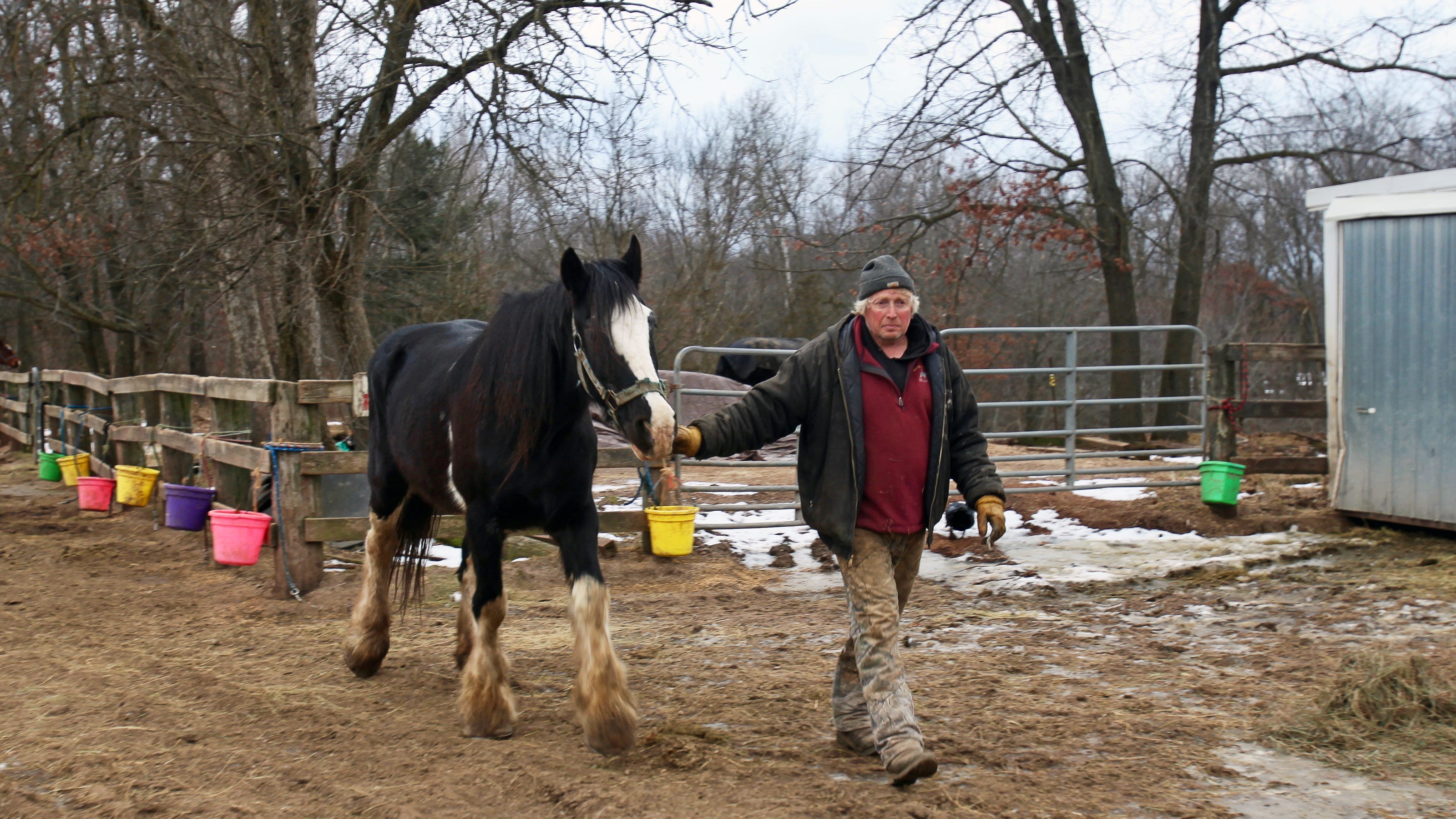 Red Ridge Ranch near the Dells blames 'heartbreaking' loss of 14 horses ...
