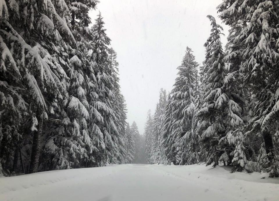 Oregon snow Weekend snowfall in mountains shows eyepopping totals