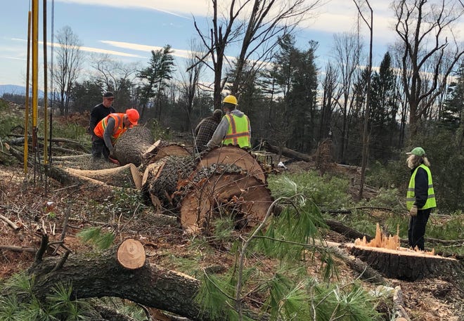 Estimating Forest Supplies With the Aid of Remote Sensing and GIS