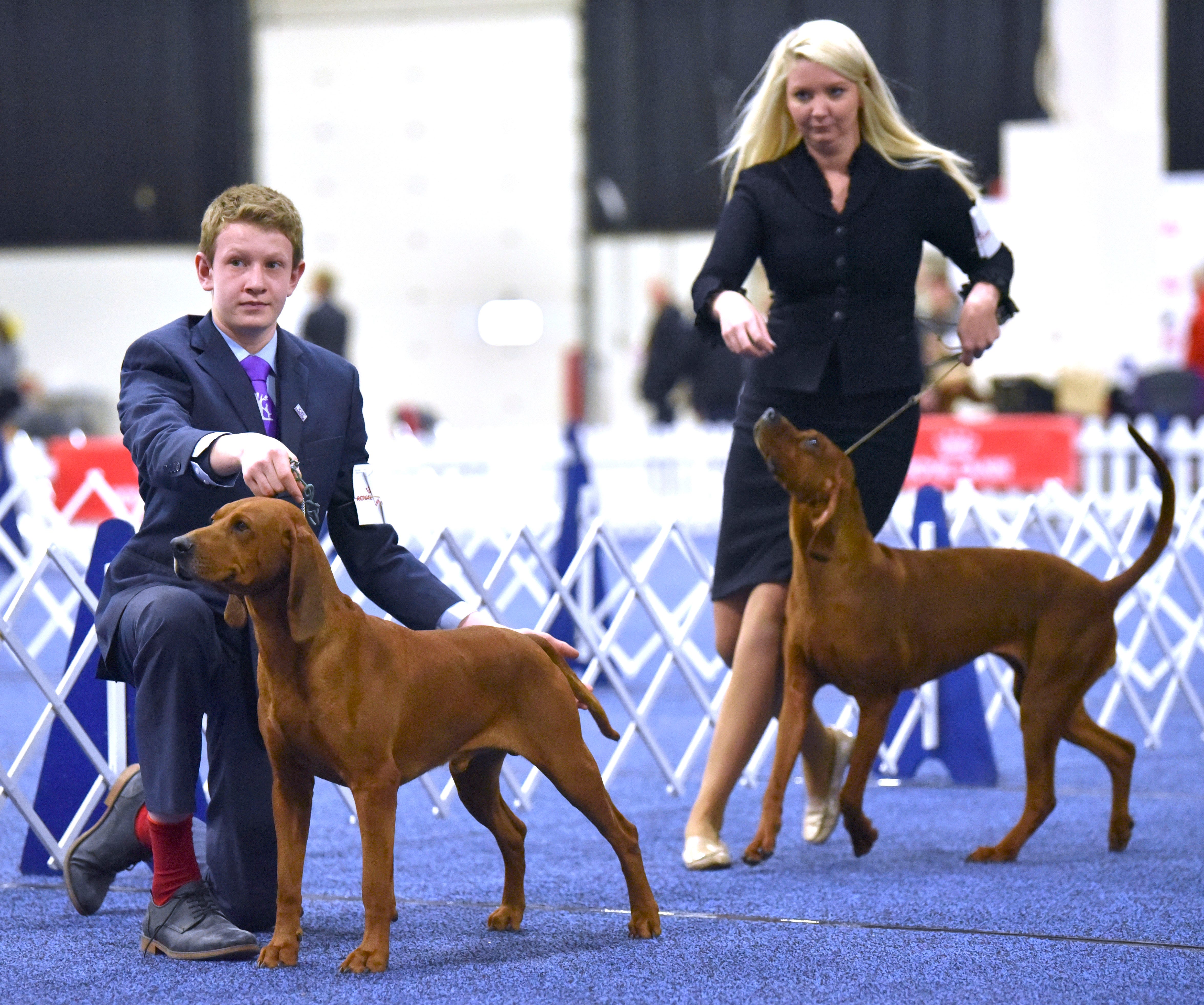 dog show handler clothing