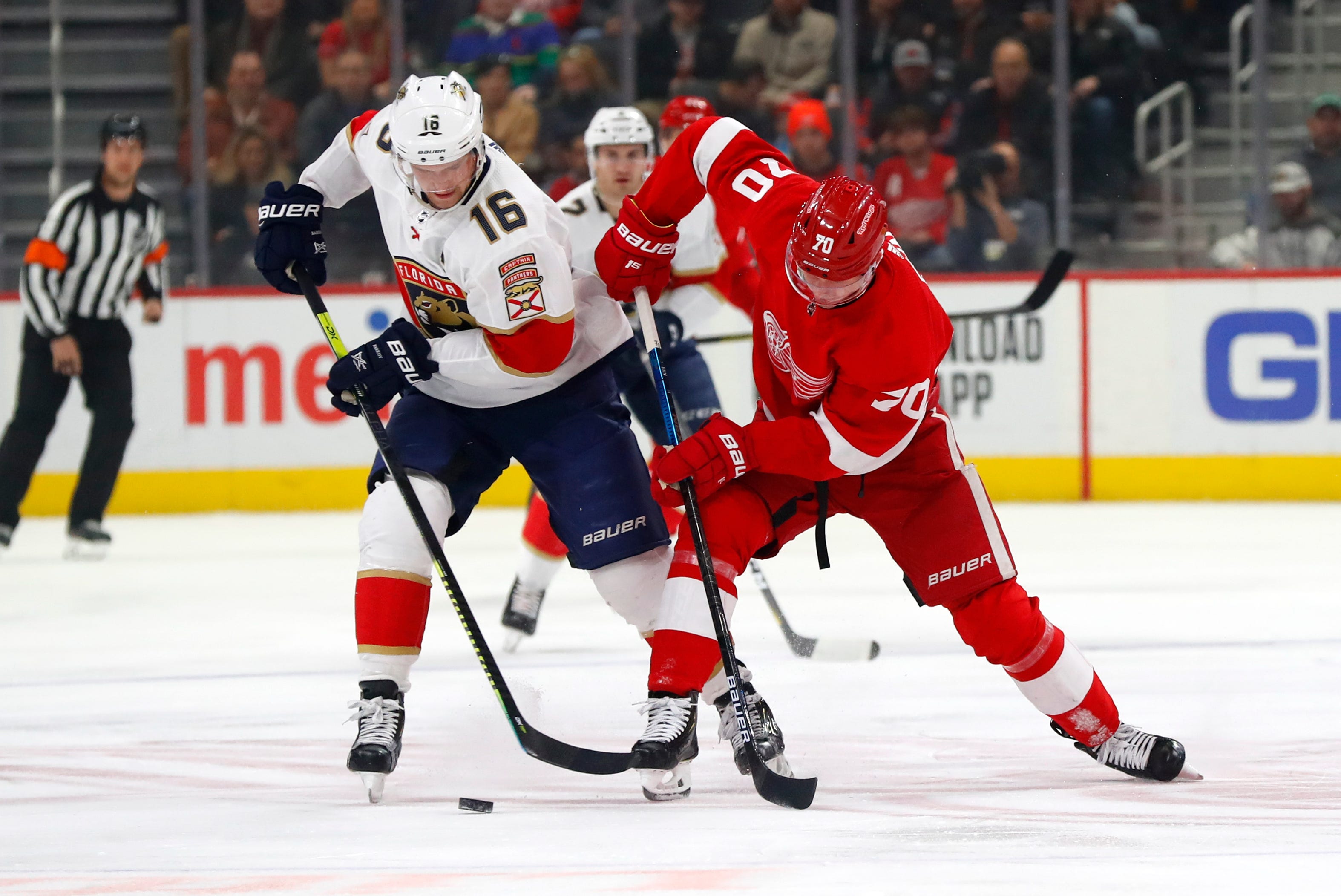 Red Wings vs. Panthers