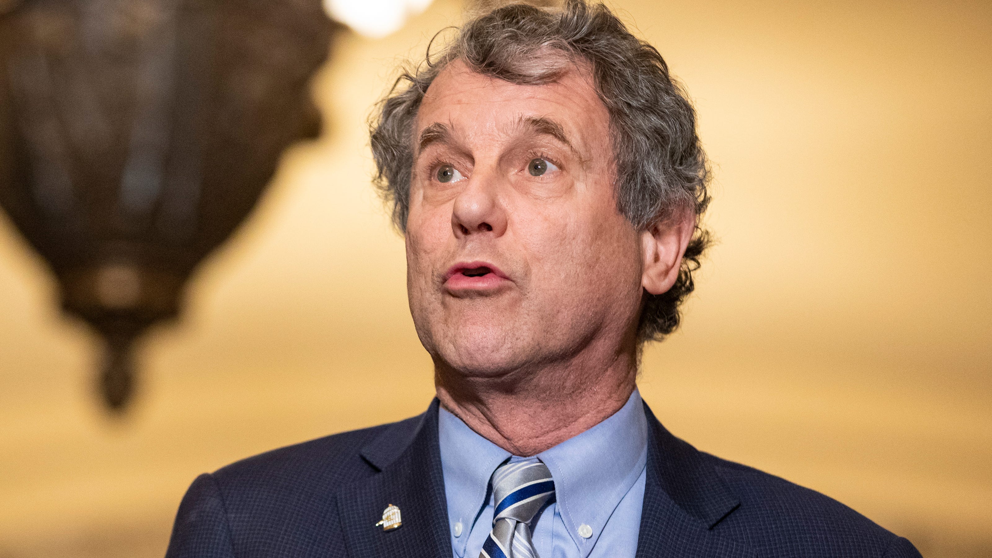 sherrod brown committee and caucus assignments