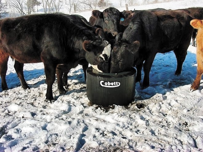 Whether raising cattle, bison, horses, sheep or other livestock, reliably providing fresh water is a necessity throughout the year, but a particular challenge during winter when standing water sources can ice over.