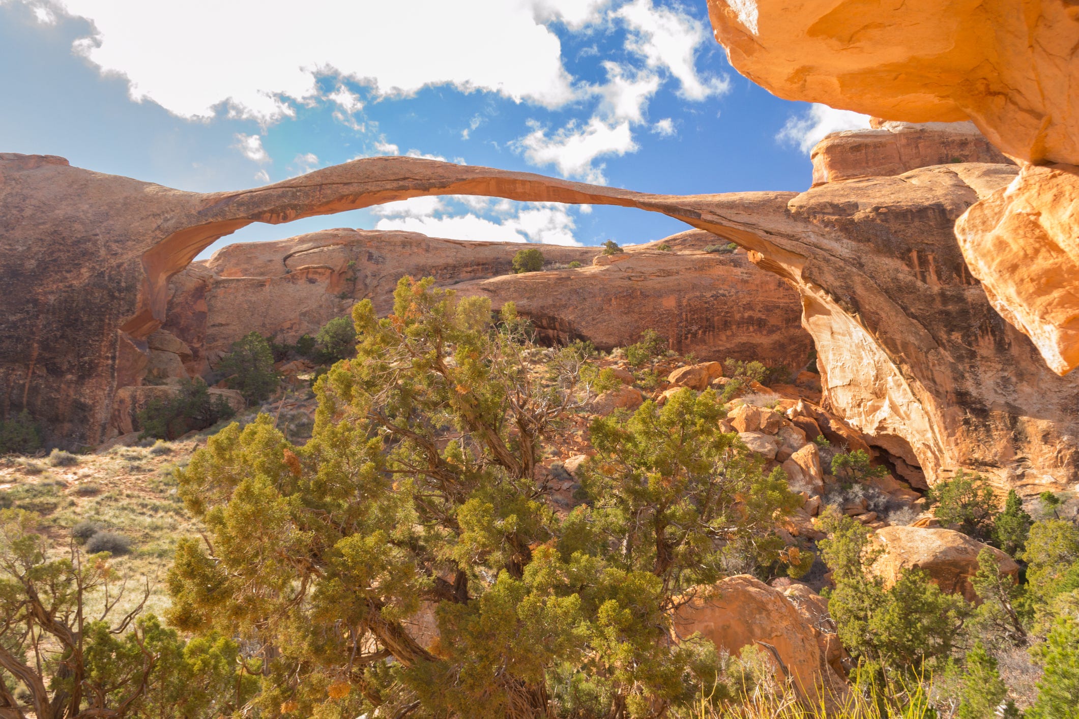Zion National Park Holly Courtier Was Bruised Disoriented When Found