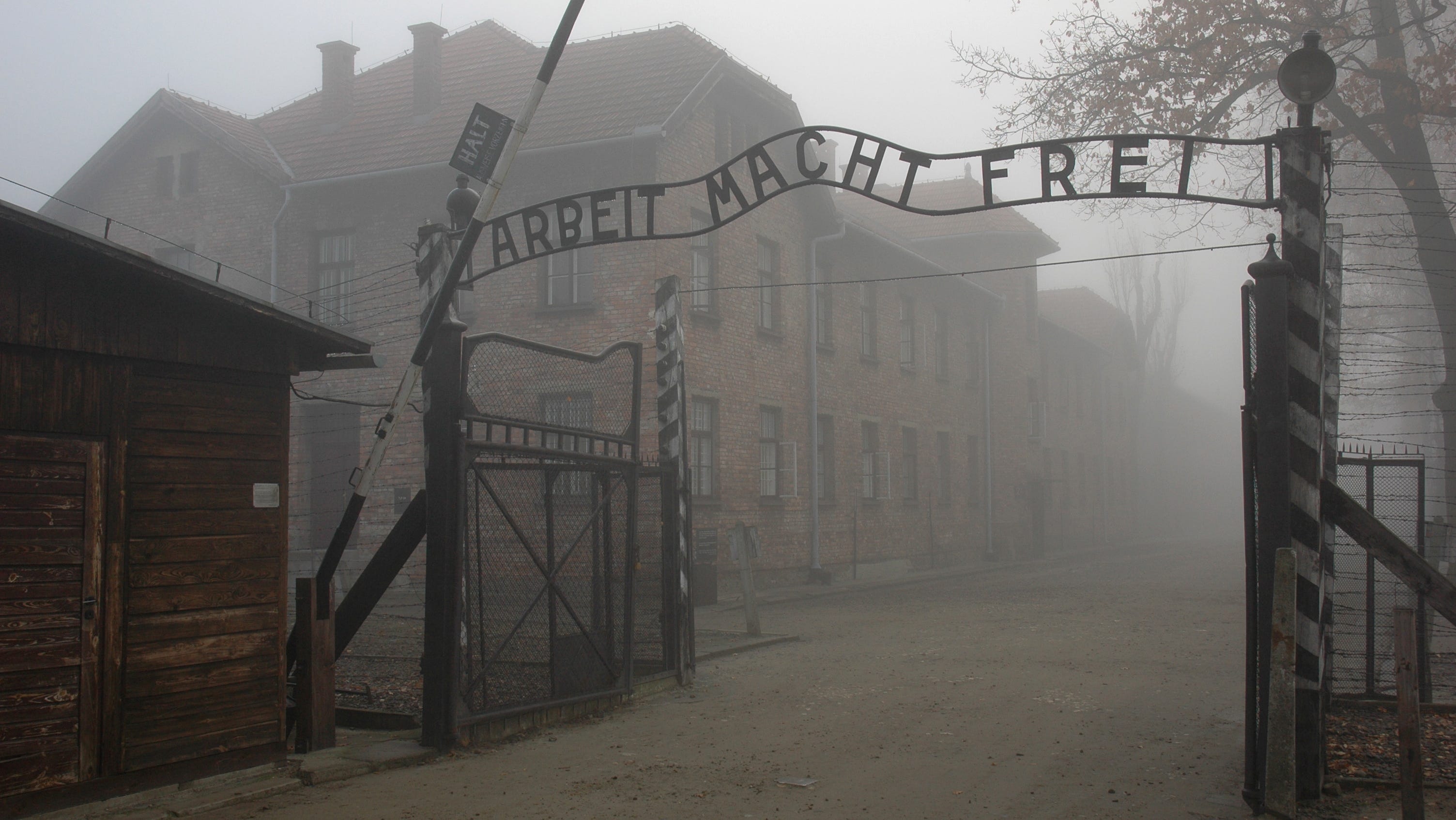 Holocaust denial is anti Semitismspeech Facebook should ban it Holocaust denial is anti Semitismspeech Facebook should ban it