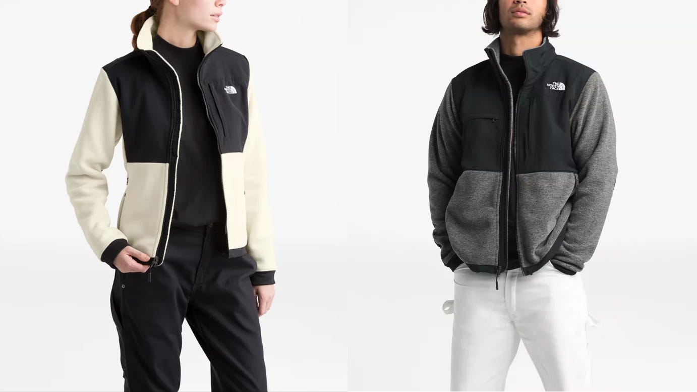 the north face fleece sale