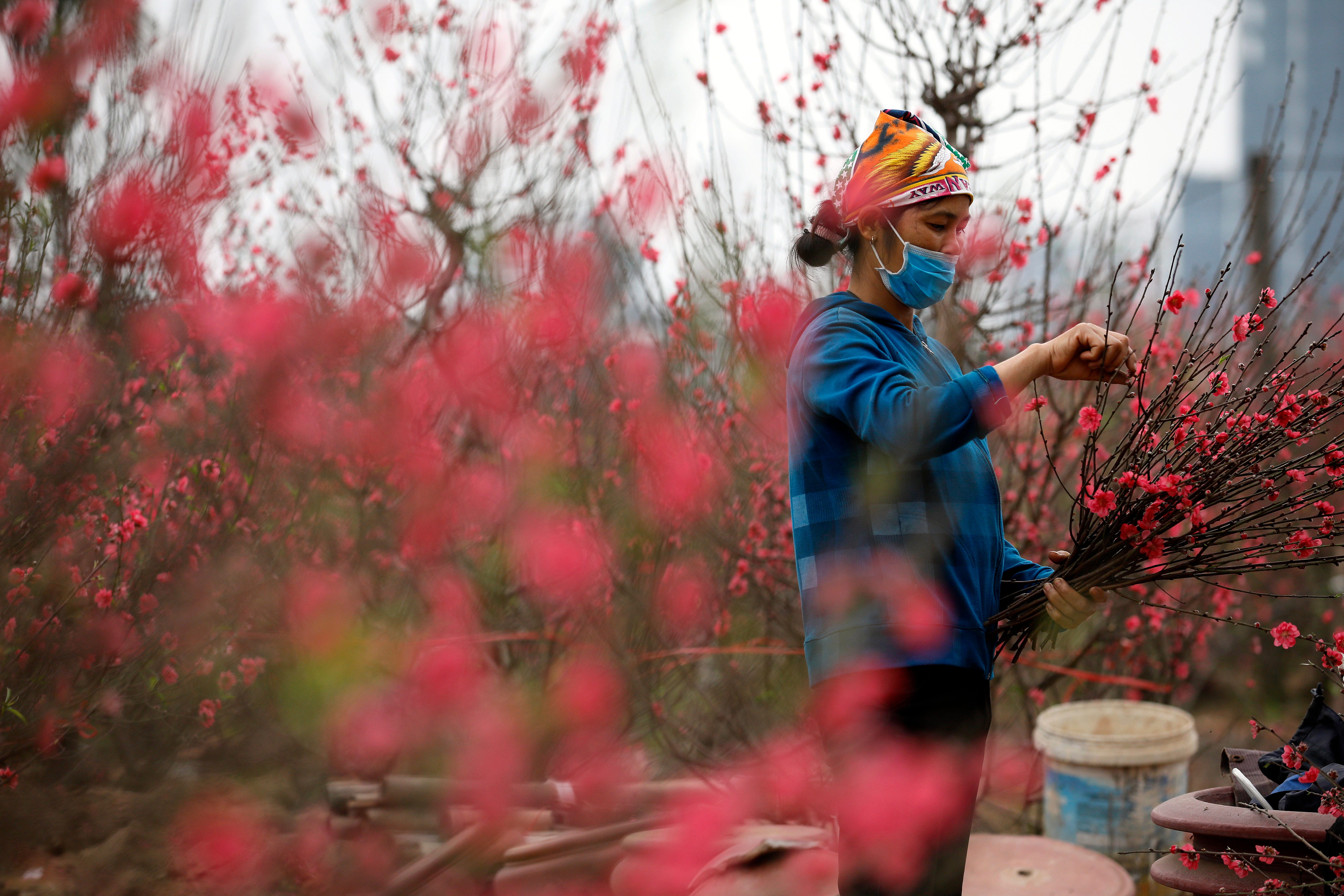 Lunar New Year What Asian Cultures Celebrate And How