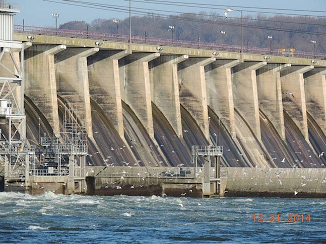 A flock of seagulls at the Conowingo dam in Maryland.