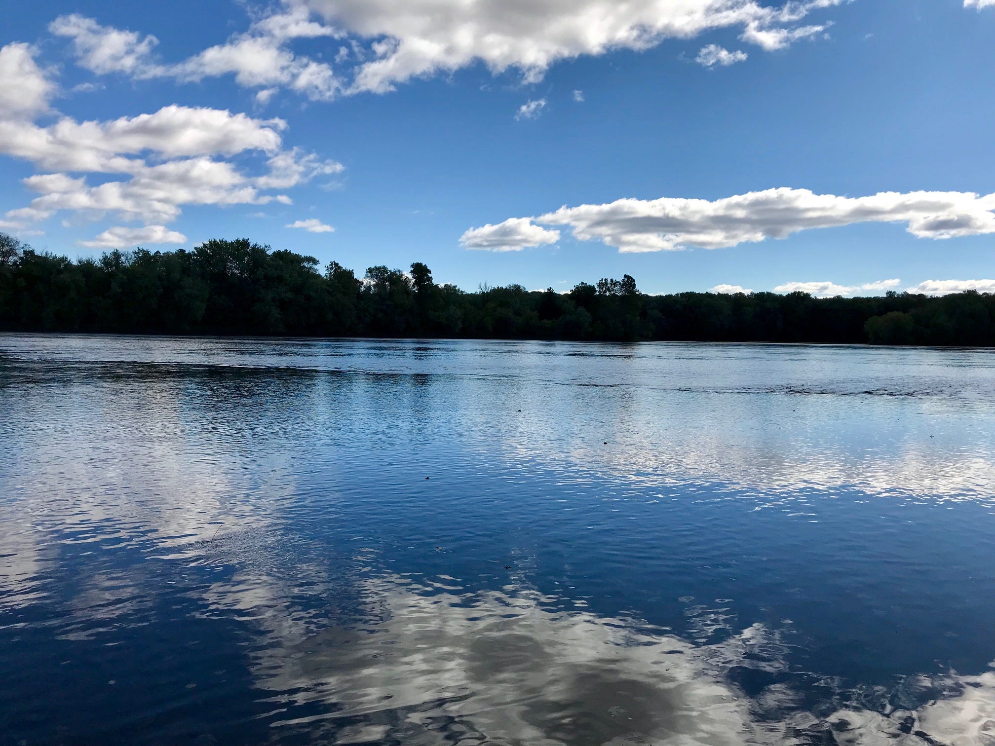 Pollutants lurking below the Susquehanna River's surface include nitrogen, phosphorus and sediment. This view of the river is near Selinsgrove, Pa.