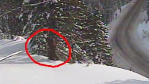 A tweet by Washington's DOT sparked Bigfoot specul