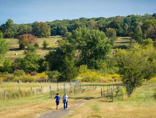 St. Michael’s Orphanage and Industrial School in Hopewell was closed in 1973 and the land has since become the St. Michaels Farm Preserve — an area of more than 400 acres of farm fields and forests preserved in 2010 and expanded in 2017 by D&R Greenway Land Trust. Josephine "Jo" Allen and Robert Brewer, both former residents of the orphanage, shared their stories Jan. 22 at a lecture hosted by the organization in Princeton.