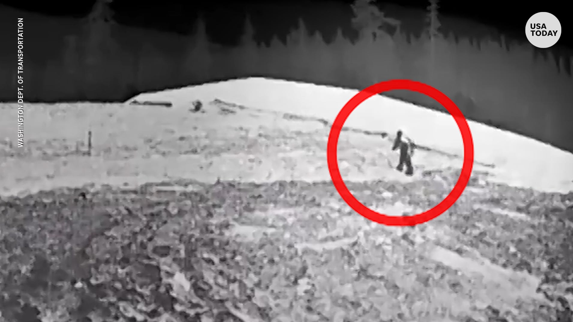 Sasquatch in Washington allegedly spied twice via DOT cameras Sasquatch in Washington allegedly spied twice via DOT cameras