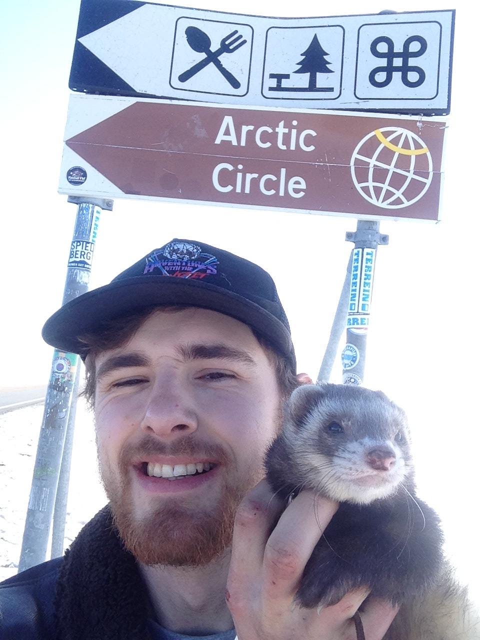 bandit ferret