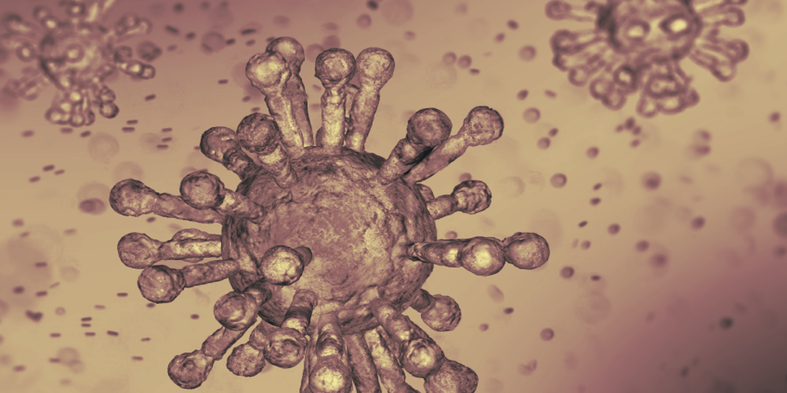 Coronavirus Medical Bill How Much Does Covid 19 Test Cost Fact Check