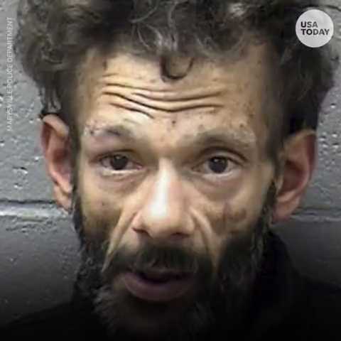 "The Mighty Ducks" actor Shaun Weiss was arrested 