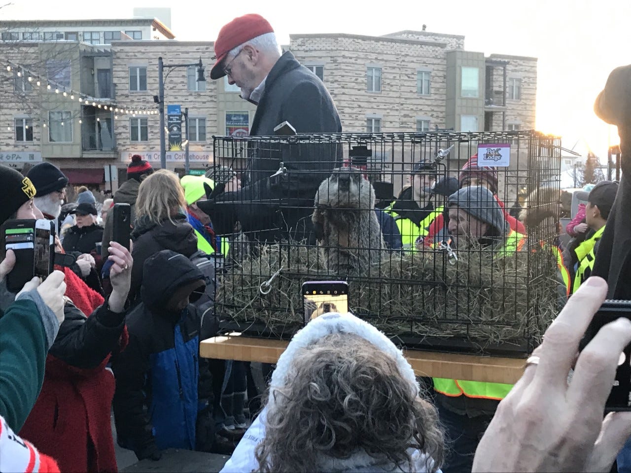 Groundhog Day 2020 See What Sun Prairie S Jimmy Predicted This Year