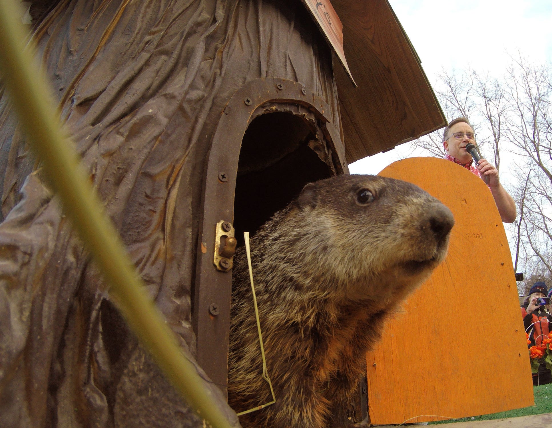 Michigan S Groundhog Woody The Woodchuck Makes Her Prediction