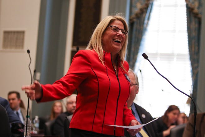 House Majority Leader Valerie Longhurst, D-Bear, is the prime sponsor of the package of mental health bills.