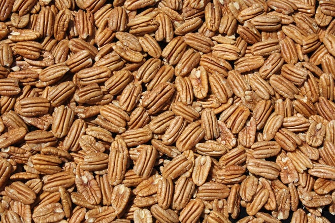 New Mexico’s utilized pecan production in 2019 reached a record high 96.6 million pounds,