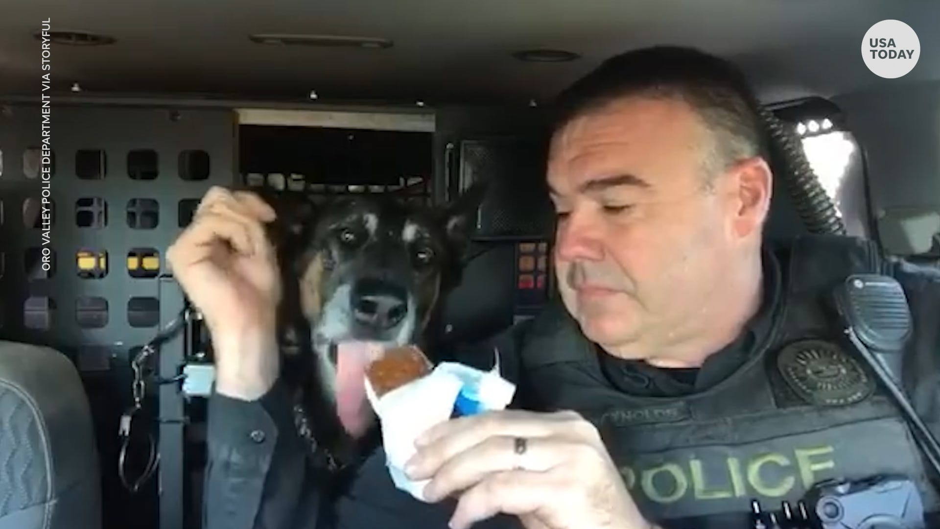 Are Ice Pops Bad For A Dog