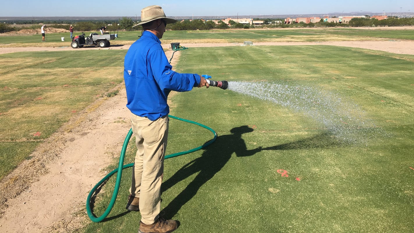 NMSU researchers look at impact of surfactants on water conservation and soil health - Las Cruces Sun-News