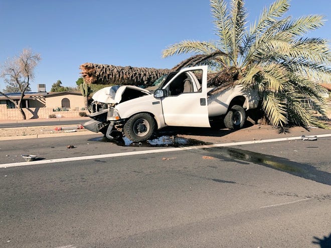 A truck collided with a palm tree which snapped and landed on top of the truck on Feb. 8, 2020, near East Cactus Road and North 29th Street in north Phoenix.