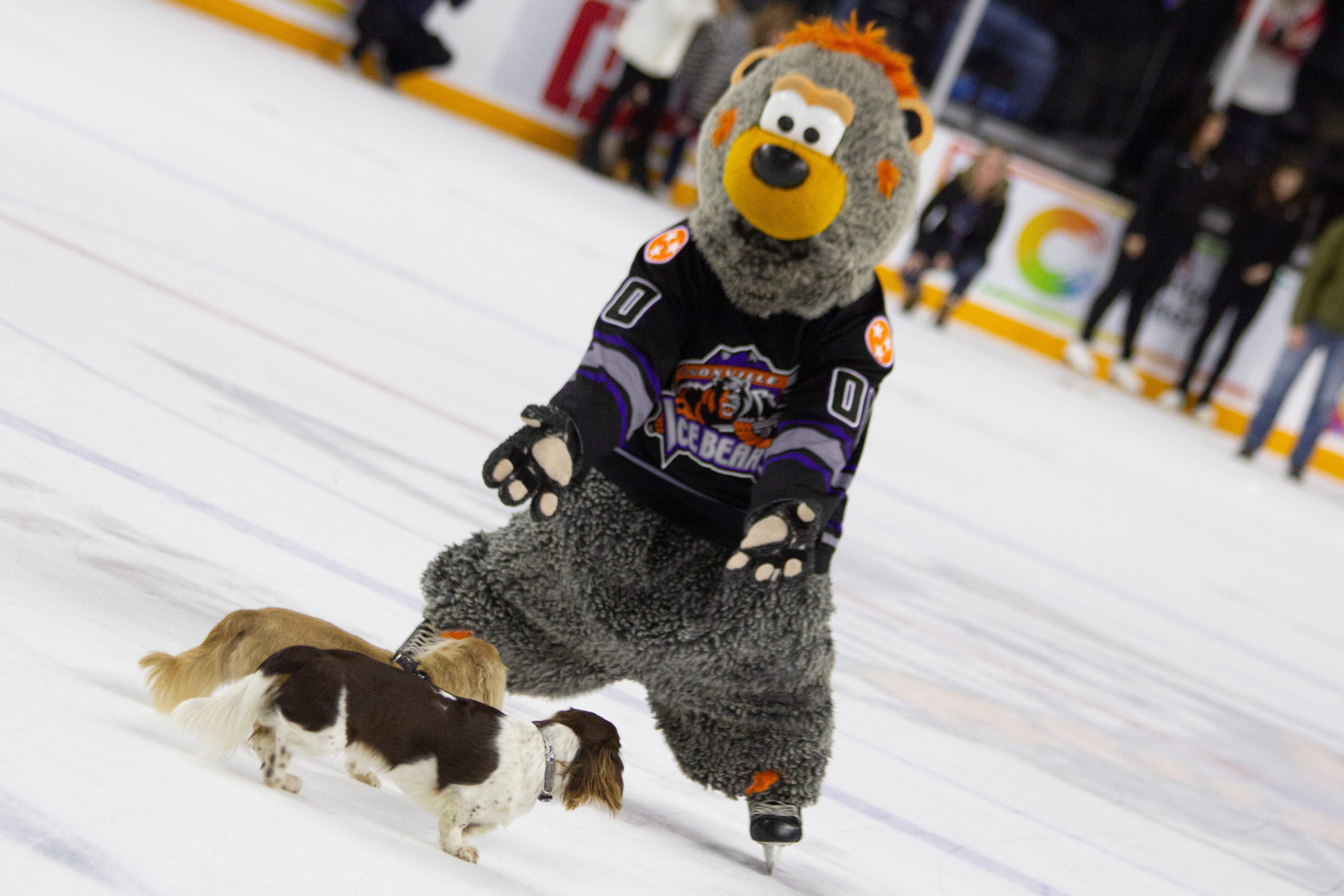 SPHL: Season canceled but Ice Bears "determined to return to the ice\