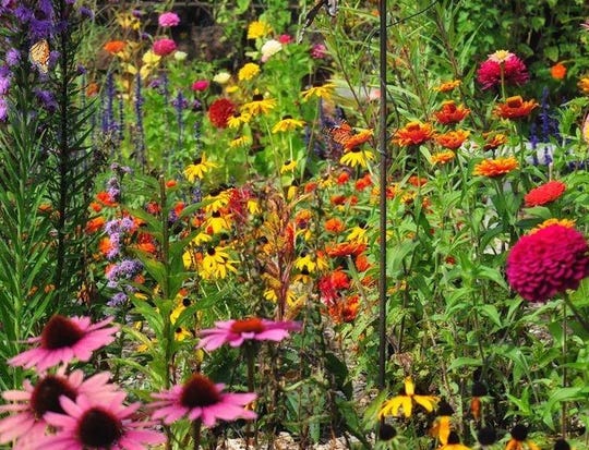Butterfly Garden Expert John Blair Will Give Tips