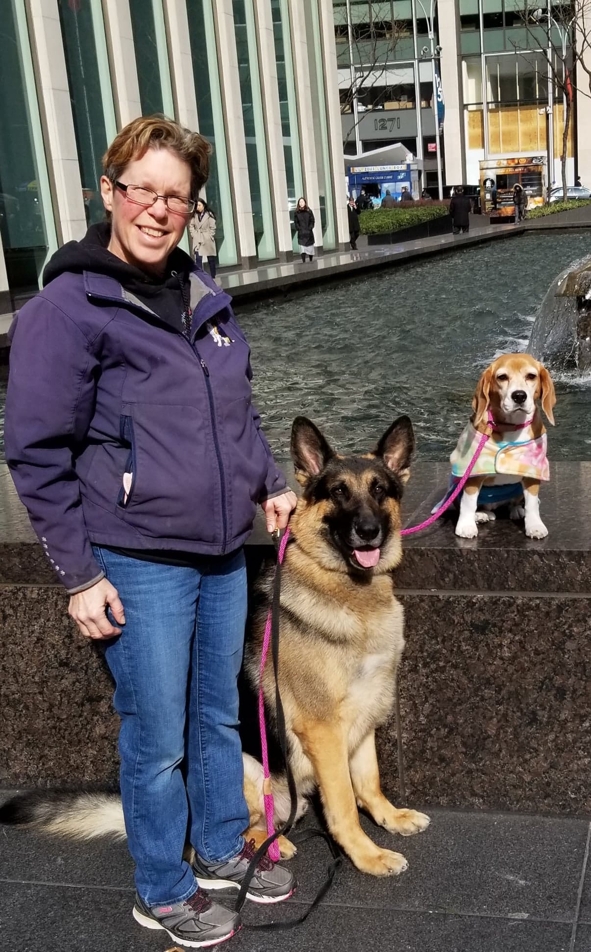 halo german shepherds