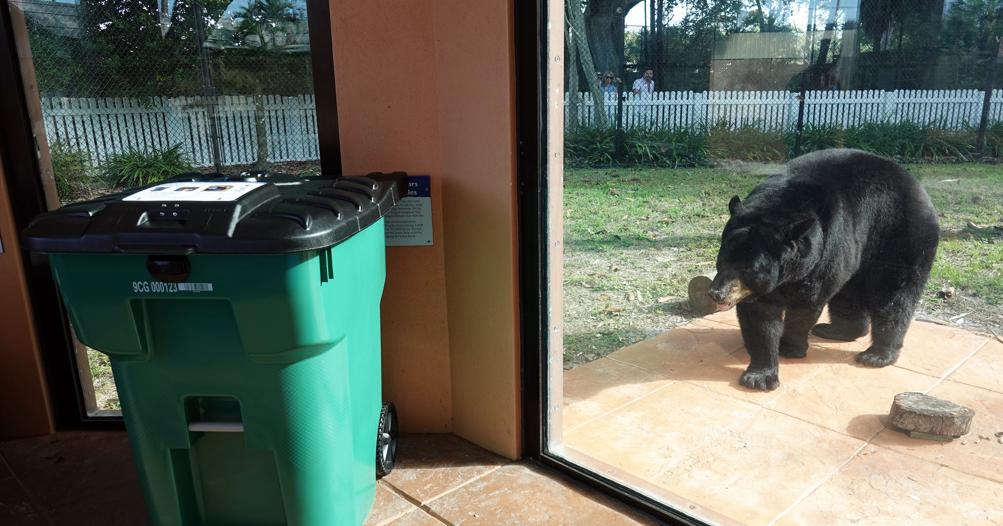 Protect Florida black bears with bearproof garbage containers in