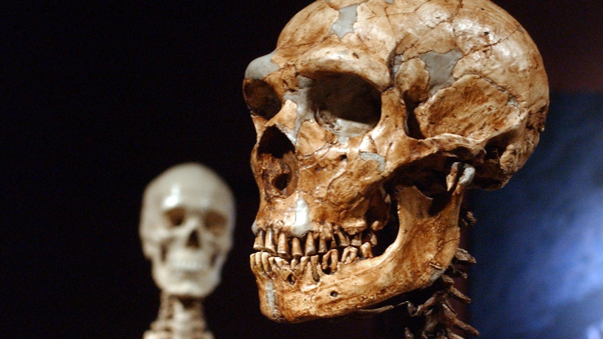 Fact check: Post showing giant human skeletons is an old hoax