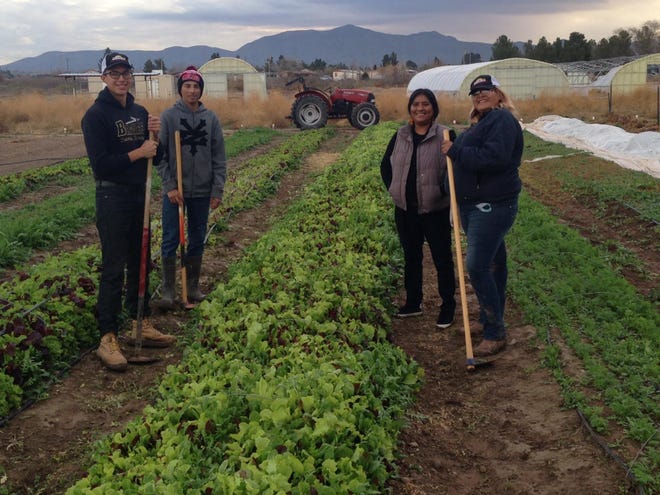 The Anthony Youth Farm, a 25-acre farm located south of Las Cruces near the Texas border, trains young farmers and pays dividends back into the community.