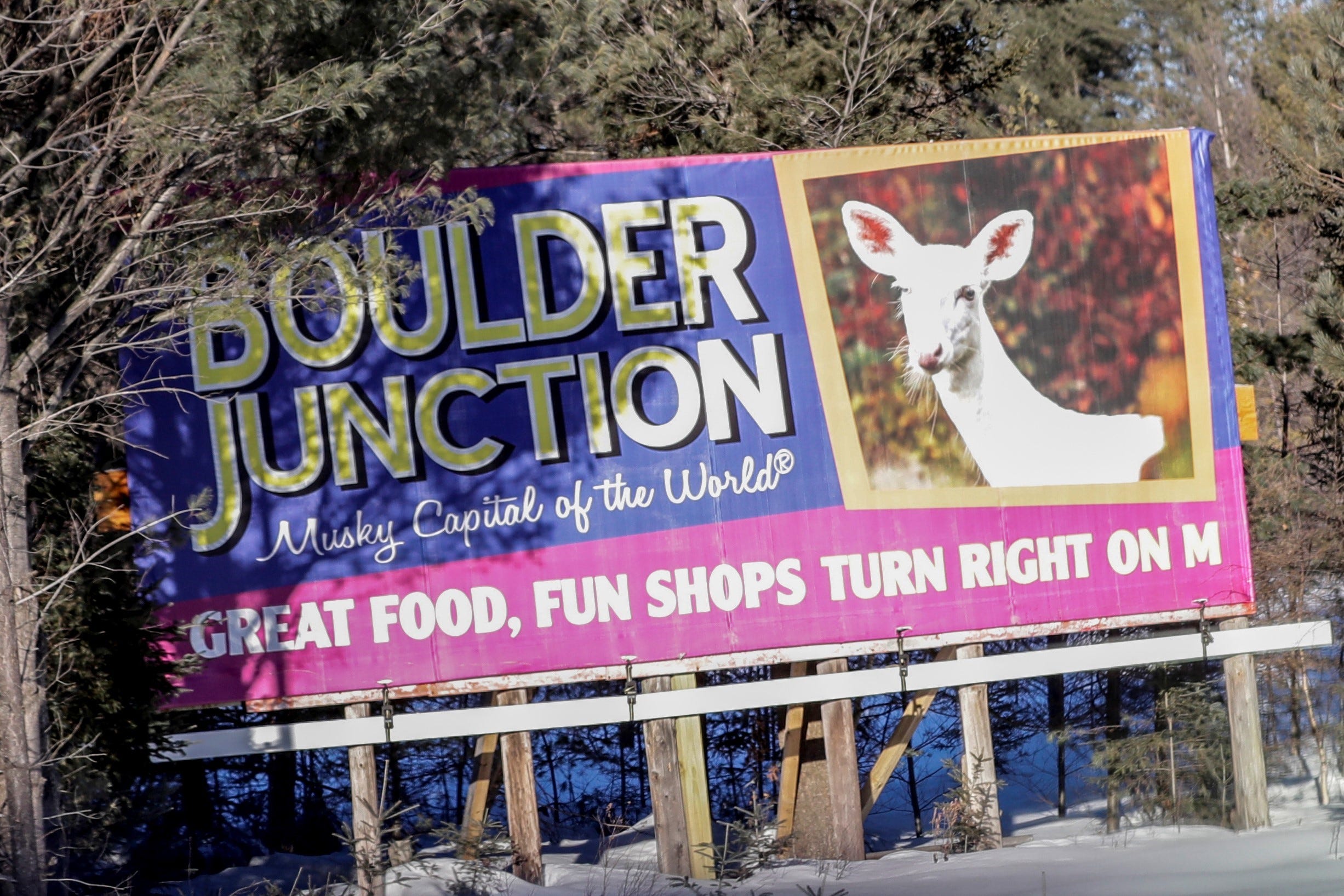 A billboard along U.S. 51 near Woodruff on Feb. 14 showcases a white deer to help promote tourism in Boulder Junction.