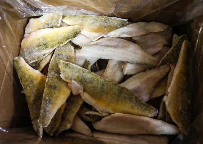 A shortage of Great Lakes perch means a limited supply of the popular fish for Lent from distributors like Blue Harbor Seafood in Green Bay.