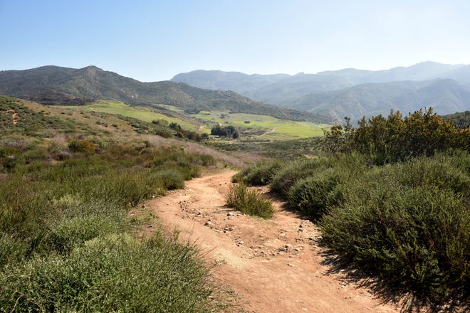 Dry grasses cover the hills along a trail at Rancho Sierra Vista in Newbury Park on Wednesday, Feb. 19, 2020.
