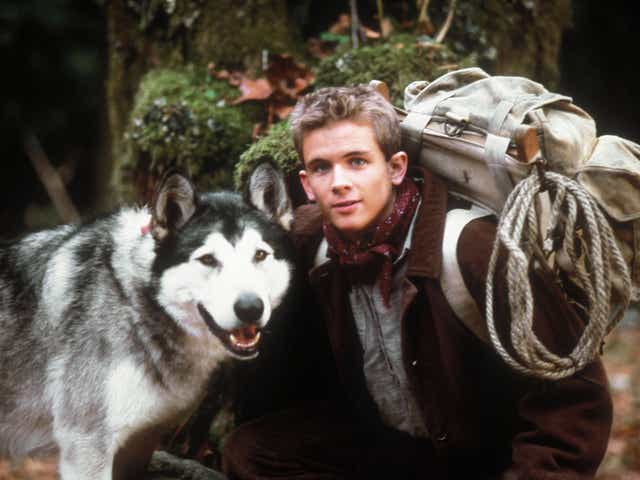 Call Of The Wild Harrison Ford S Dog Buck Isn T A Husky Here S Why
