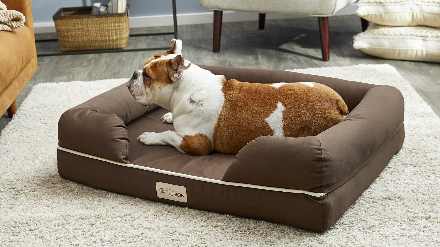 petfusion dog bed