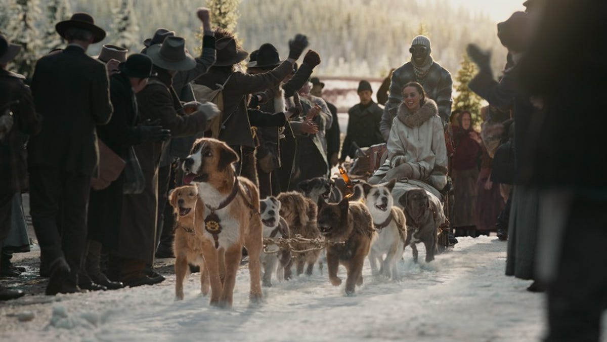 Call Of The Wild Harrison Ford S Dog Buck Isn T A Husky Here S Why