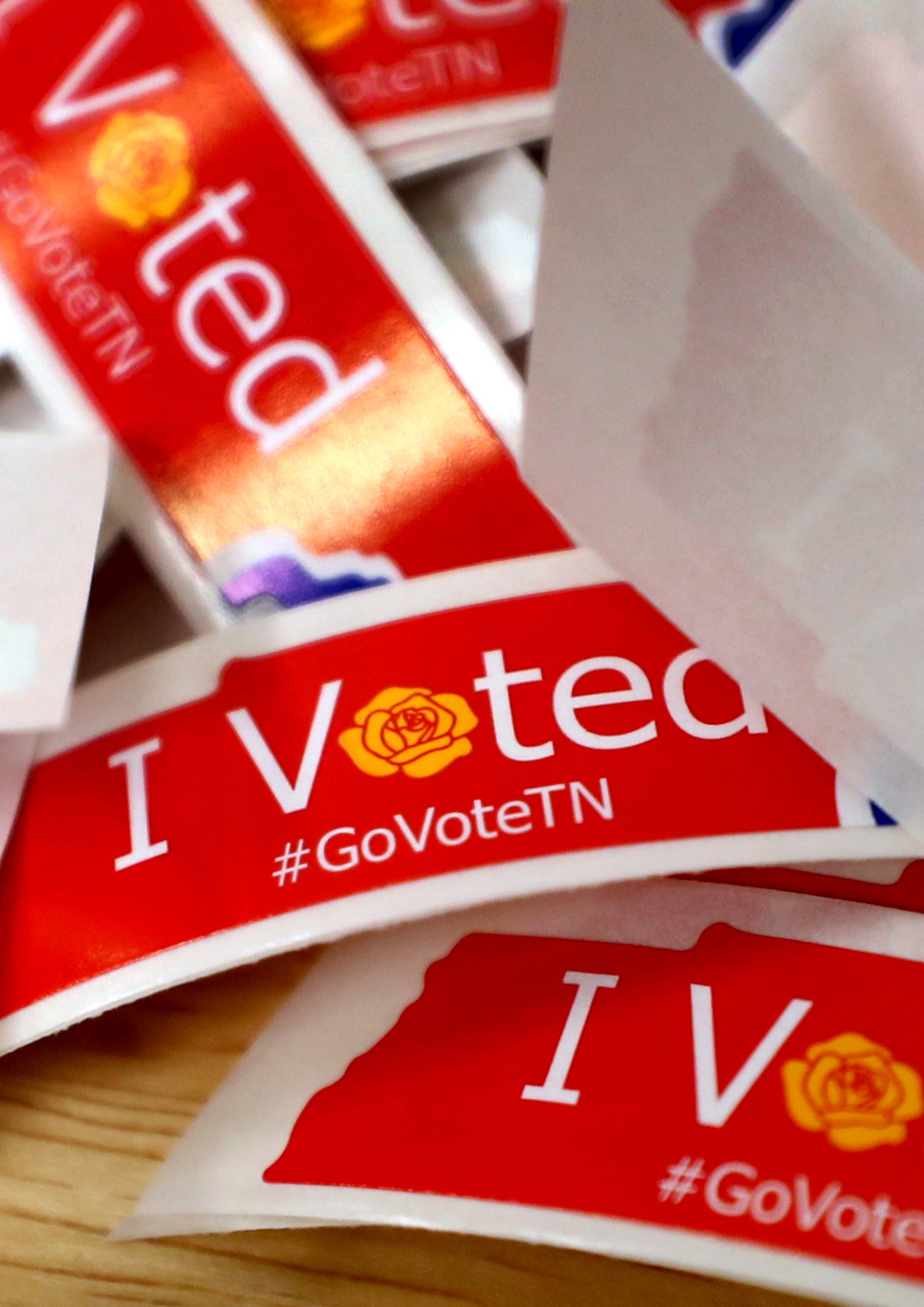 Voting in Tennessee Democratic primary What to know on Super Tuesday