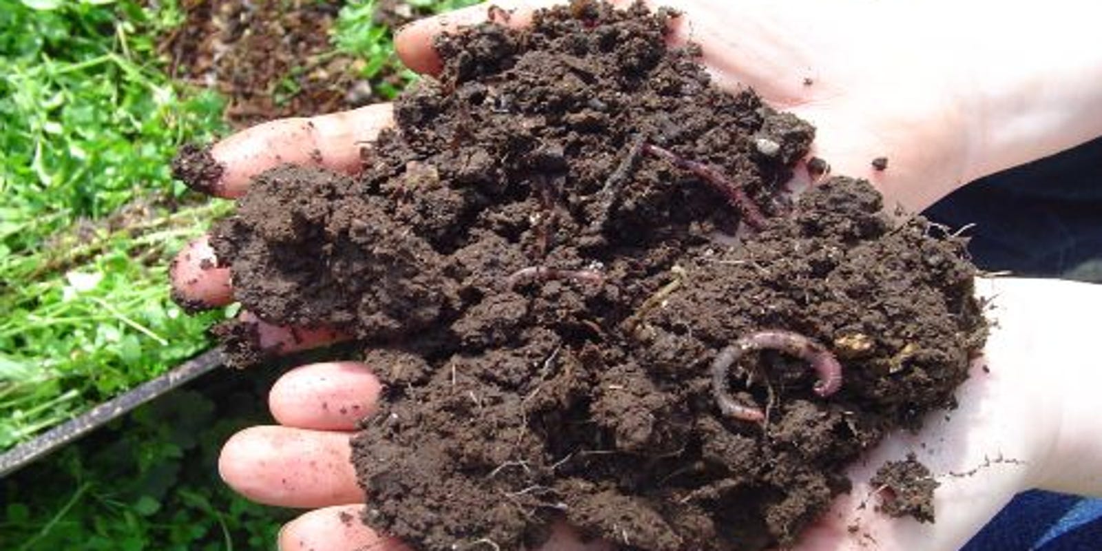 Starting A New Garden Prep Soil From Scratch