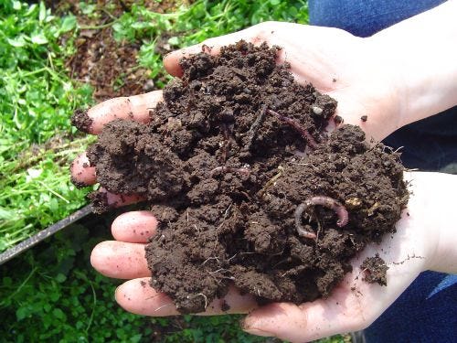 Starting A New Garden Prep Soil From Scratch