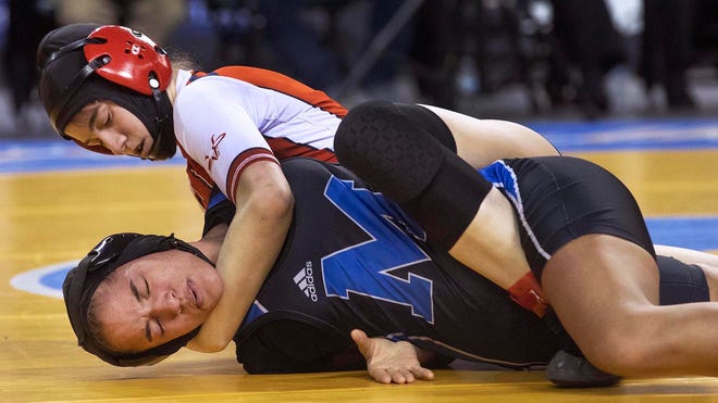 Girls High School Wrestling In Florida Is Closer To Becoming A Reality