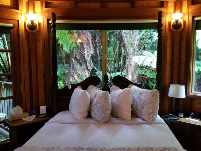 Wherever to travel article-pandemic? Hawaii, Mexico and Oregon are finest bets Wherever to travel article-pandemic? Hawaii, Mexico and Oregon are finest bets