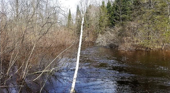 A section of the South Branch of the Oconto River on property being acquired by Oconto County. The public will have access to the Class I Trout Stream this spring.