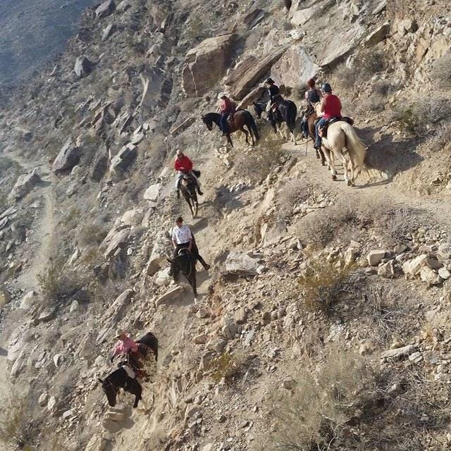 Today's desert riders still brave the nearly vertical cliffs on narrow trails used for millennia by the Agua Caliente tribe.