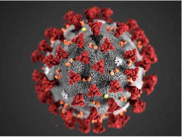 Coronavirus In Indiana Colleges And Universities Respond