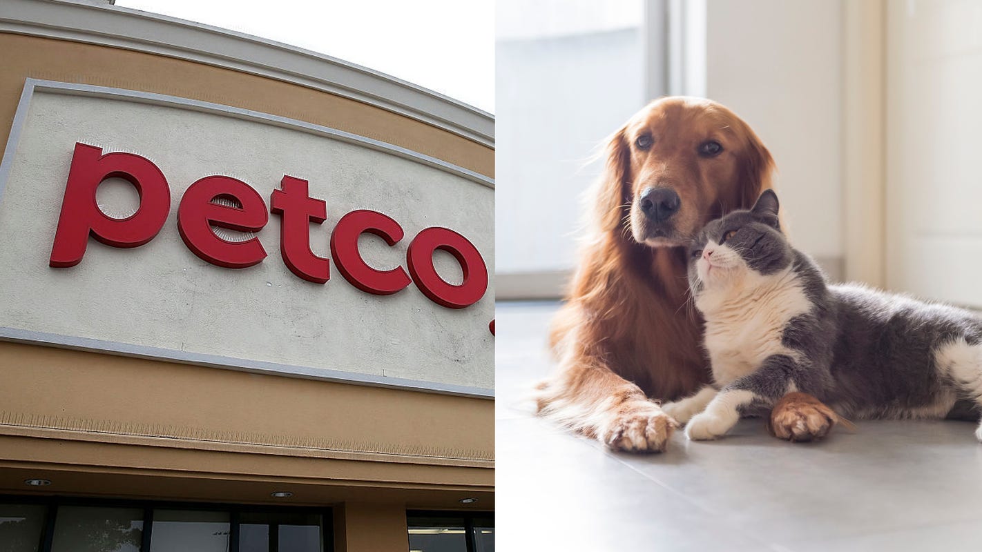 Download Petco Sale Get An Amazing Discount On All The Pet Supplies You For iPhone Get Wallpaper Petco Sale Get An Amazing Discount On All The Pet Supplies You Desktop Wallpaper